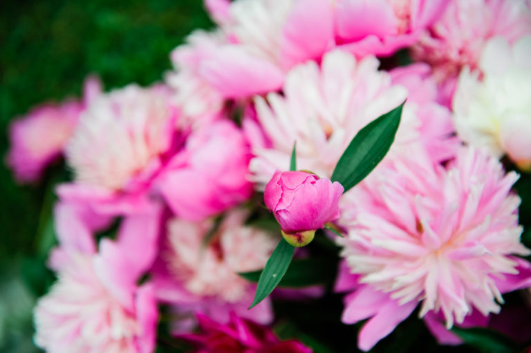 birth photography Duluth, MN Ashland, WI, Twin Ports